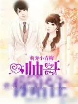 《萌宠小青梅：帅哥，你站住！》小说封面
