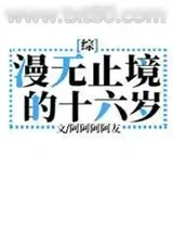 《漫无止境的十六岁》小说封面