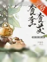 《食全食美》小说封面