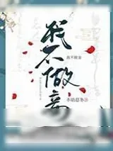 《我不做妾》小说封面