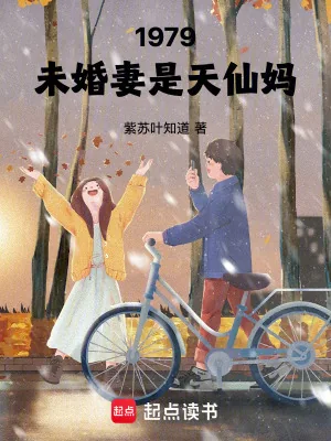 《1979:未婚妻是天仙妈》小说封面