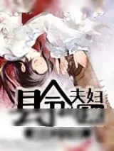 《县令夫妇的日常》小说封面