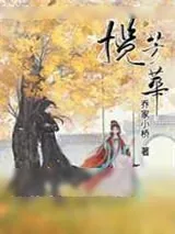 《揽芳华》小说封面