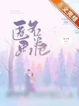 《匿名画卷》小说封面