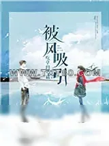 《被风吸引》小说封面