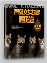 《高校女寝图鉴》小说封面
