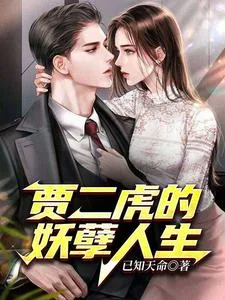 《贾二虎的妖孽人生》小说封面