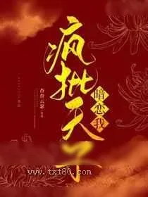《宫锁雀翎》小说封面