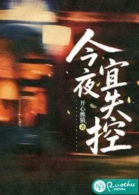 《今夜宜失控》小说封面