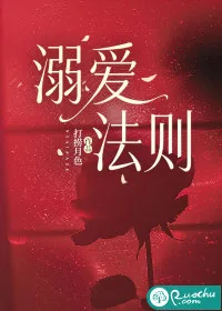 《溺爱法则》小说封面
