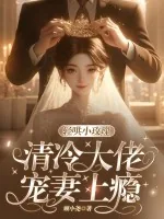 《轻哄小玫瑰,清冷大佬宠妻上瘾》小说封面