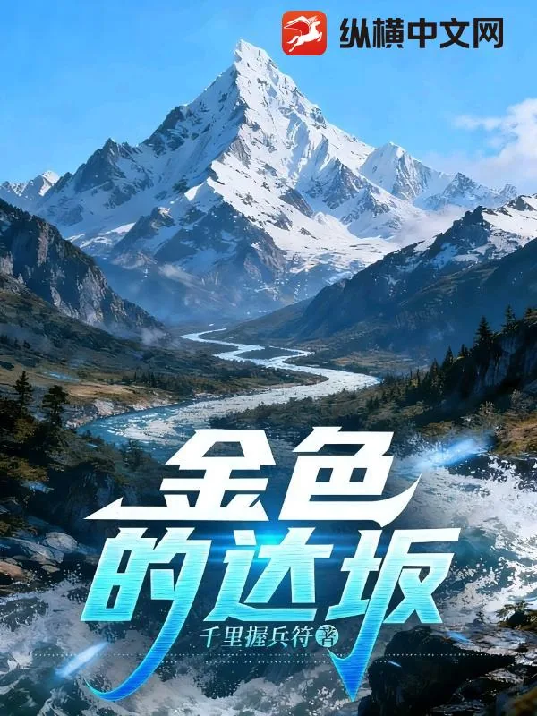 《金色的达坂》小说封面