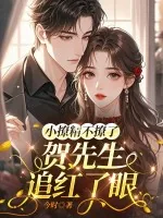 《小撩精不撩了，贺先生追红了眼》小说封面