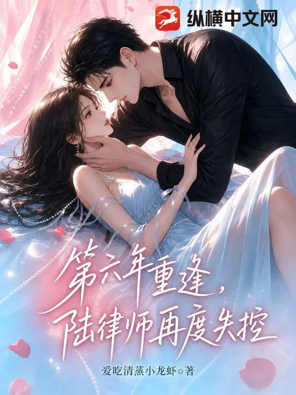 《第六年重逢，陆律师再度失控》小说封面