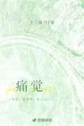 《痛觉》小说封面