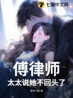 《傅律师，太太说她不回头了》小说封面