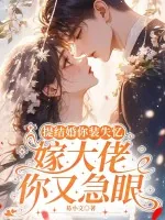 《提结婚你装失忆,嫁大佬你又急眼》小说封面