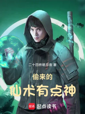 《偷来的仙术有点神》小说封面