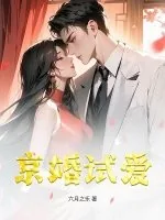 《京婚试爱》小说封面