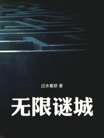 《无限谜城》小说封面