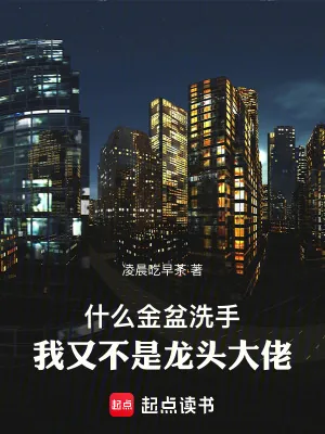 《什么金盆洗手，我又不是龙头大佬》小说封面