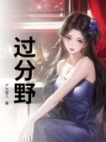 《过分野》小说封面