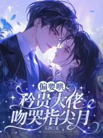 《偏要哄,矜贵大佬吻哭指尖月》小说封面