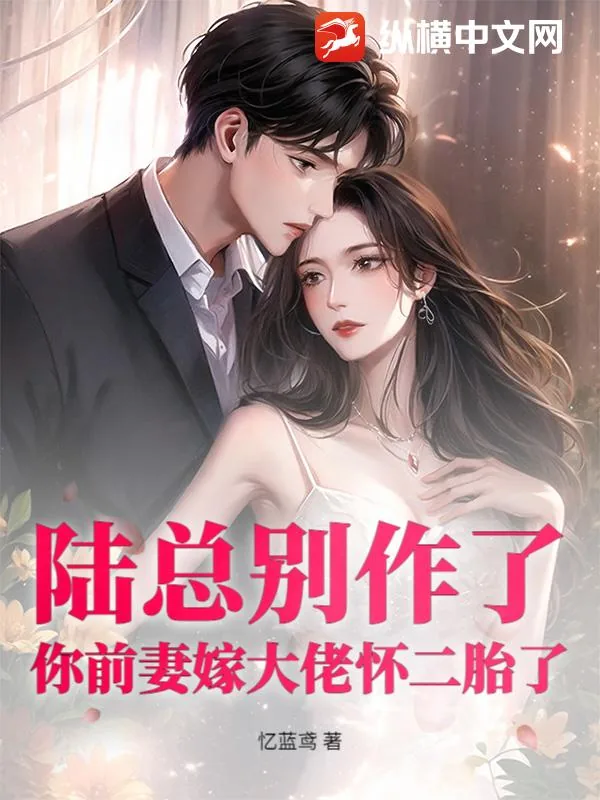 《陆总别作了,你前妻嫁大佬怀二胎了》小说封面