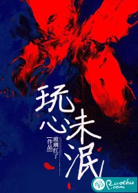 《玩心未泯》小说封面