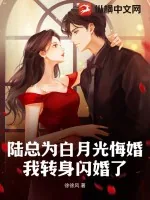 《陆总为白月光悔婚,我转身闪婚了》小说封面