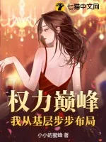 《权力巅峰：我从基层步步布局》小说封面