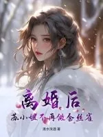 《离婚后，苏小姐不再做金丝雀》小说封面