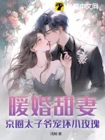 《暖婚甜妻:京圈太子爷宠坏小玫瑰!》小说封面