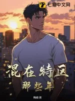 《混在特区那些年》小说封面