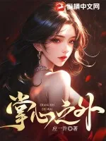 《掌心之外》小说封面