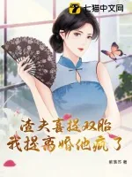 《渣夫喜提双胎,我提离婚他疯了》小说封面