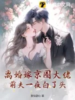 《离婚嫁京圈大佬,前夫一夜白了头》小说封面