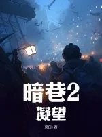 《暗巷2:凝望》小说封面