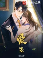 《爱笼》小说封面
