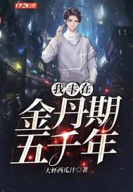 《我卡在金丹期五千年》小说封面