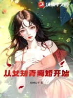 《从女知青离婚开始》小说封面