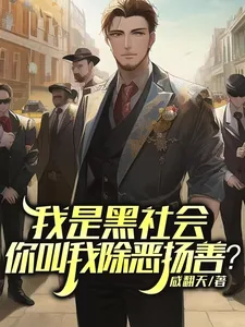 《我是黑社会,你叫我除恶扬善?》小说封面
