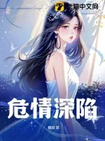 《危情深陷》小说封面