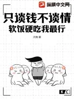 《只谈钱不谈情，软饭硬吃我最行！！》小说封面