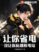 《让你省电,没让你私建核电站》小说封面