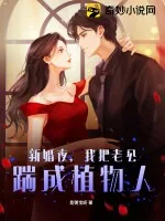《新婚夜,我把老公踹成植物人》小说封面
