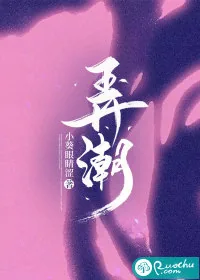 《弄潮》小说封面