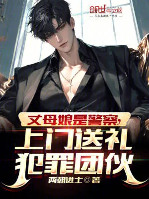 《丈母娘是警察,上门送礼犯罪团伙》小说封面