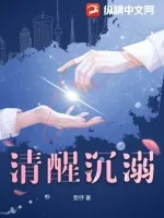 《清醒沉溺》小说封面