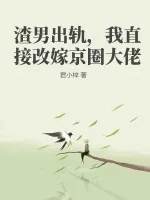 《渣男出轨，我直接改嫁京圈大佬》小说封面